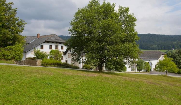 Landwirtschaft im Mühlviertel – Helfenberg/Rohrbach - Bild 1