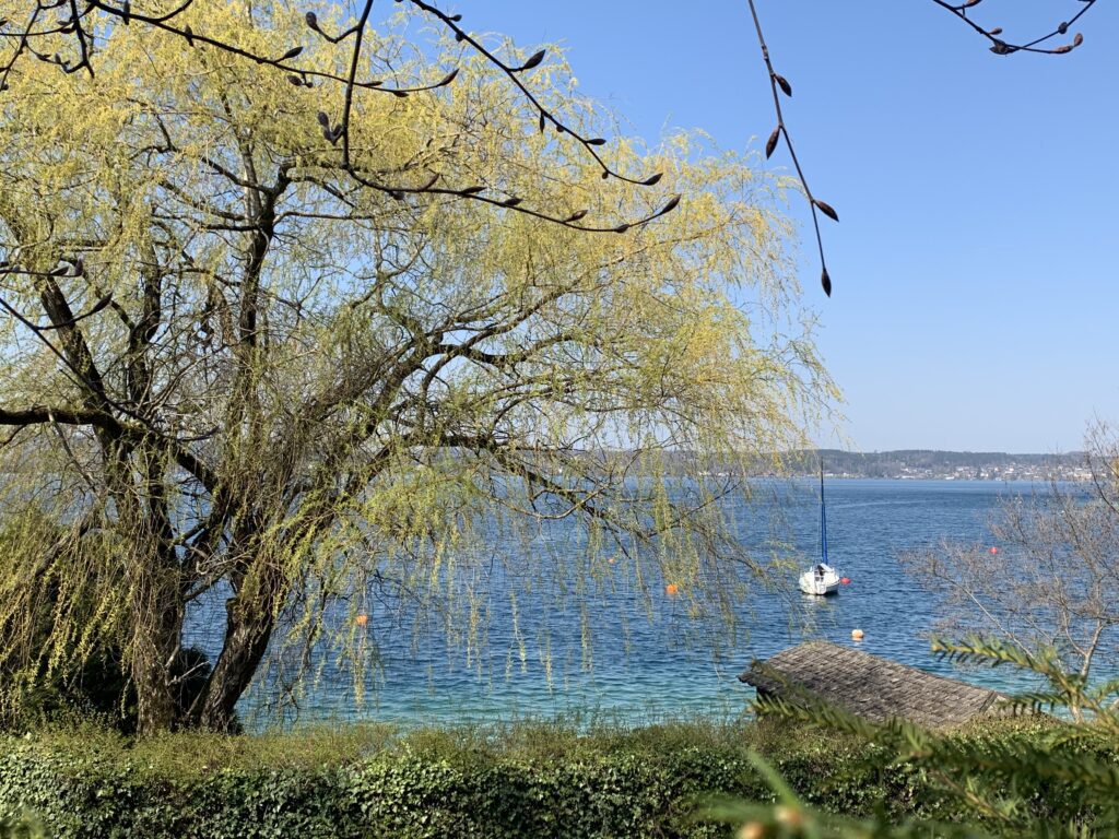 Altbestand mit Badeplatz – Weyregg/Attersee - Bild 9