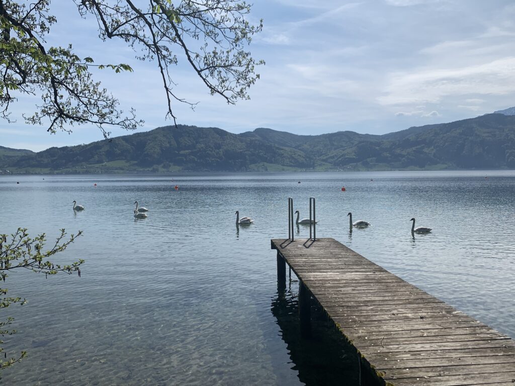Penthouse in quiet location - Abtsdorf/Attersee - Image 12