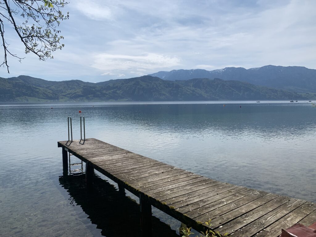 Projektliegenschaft in Golfplatznähe – Attersee/Attersee - Bild 1