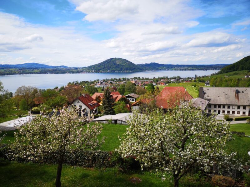 Baugrundstück Aussichtslage – Weyregg am Attersee