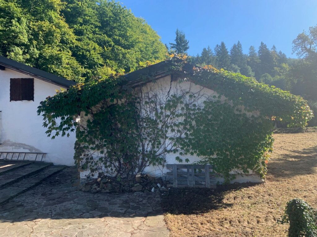 Zweitwohnsitz in Ruhelage – Schörfling/Attersee - Bild 2