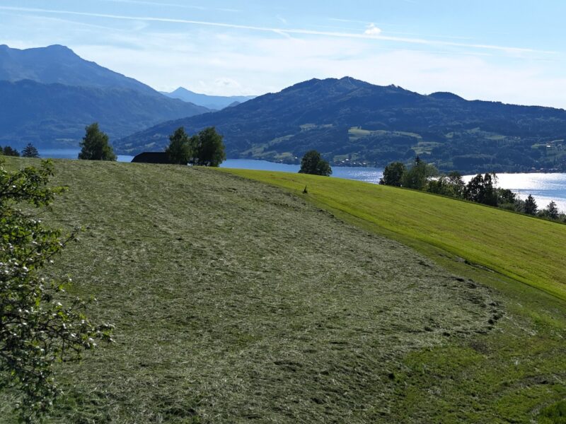 Building plot in a secluded location - Steinbach am Attersee