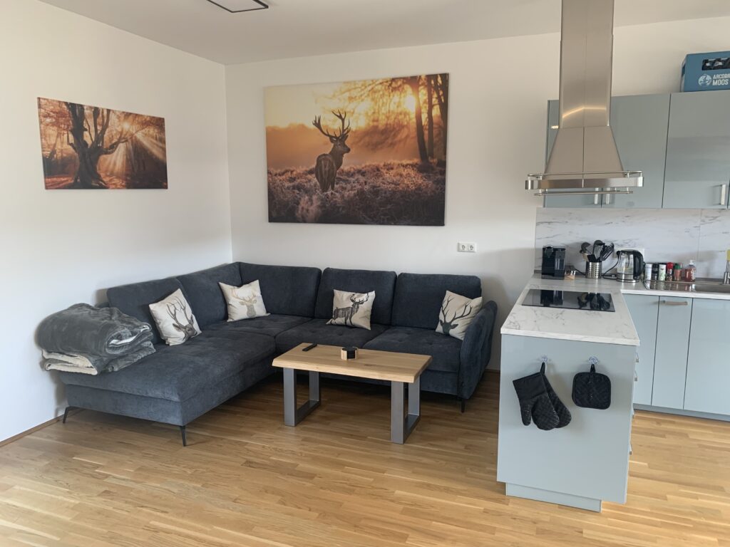 Penthouse in quiet location - Abtsdorf/Attersee - Image 3