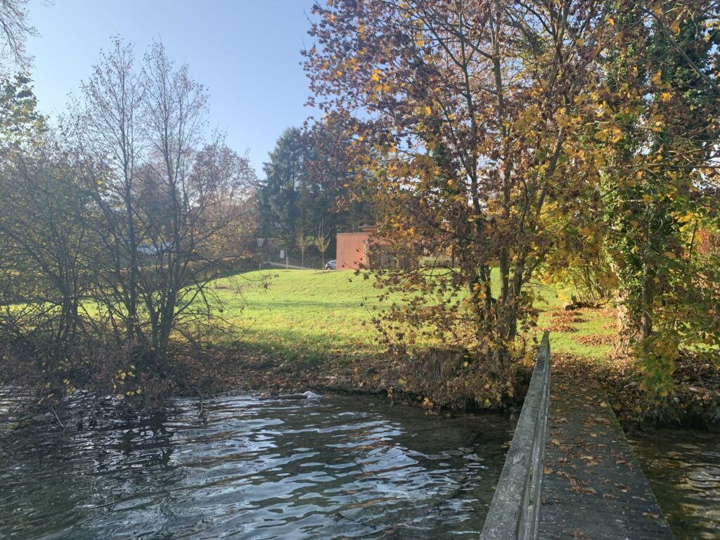 First occupancy directly on the water - Litzlberg/Seewalchen - Image 2